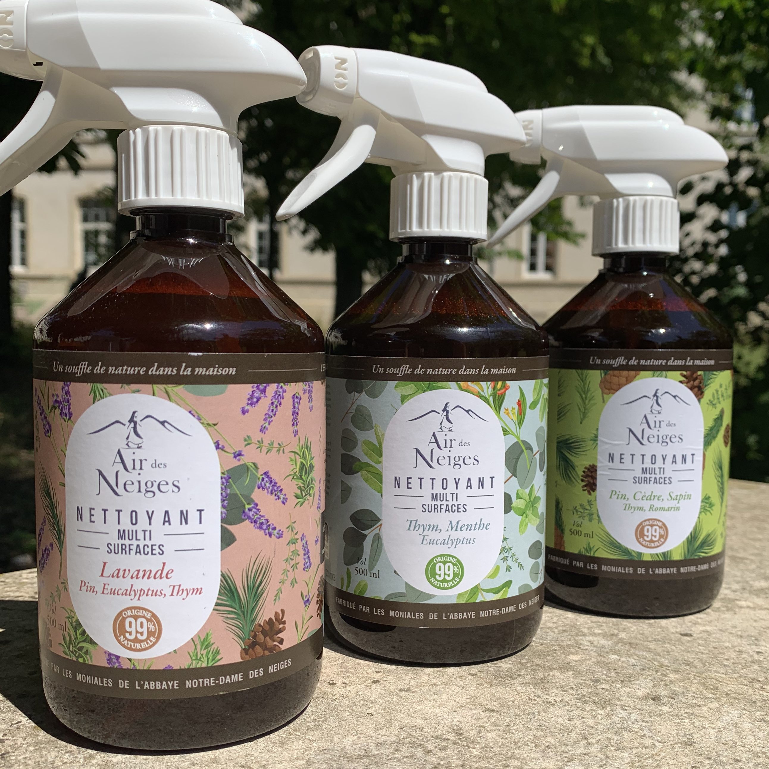 Nettoyant multi surfaces Air des Neiges